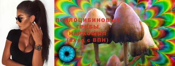 гашик Краснослободск
