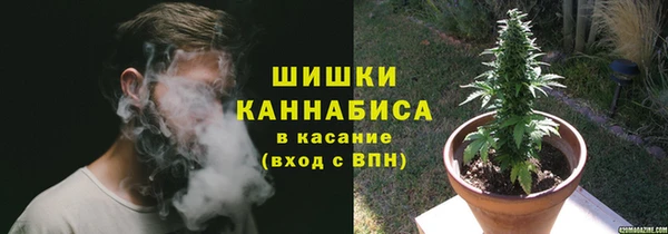 гашик Краснослободск