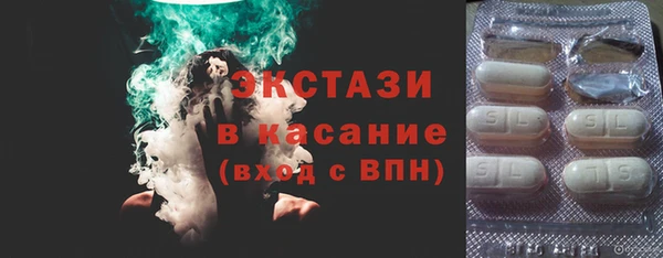 гашик Краснослободск