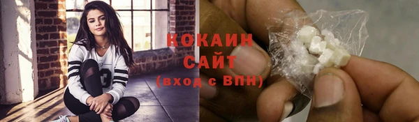 гашик Краснослободск