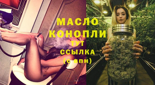 гашик Краснослободск