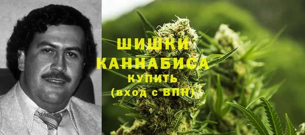 гашик Краснослободск